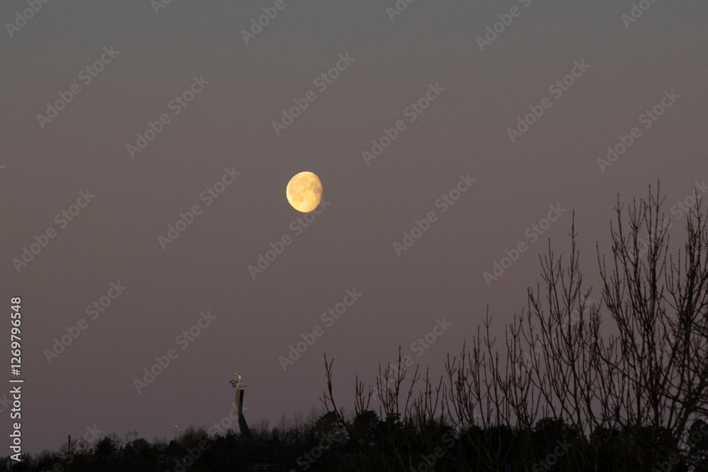full moon over the forest full moon over the forest