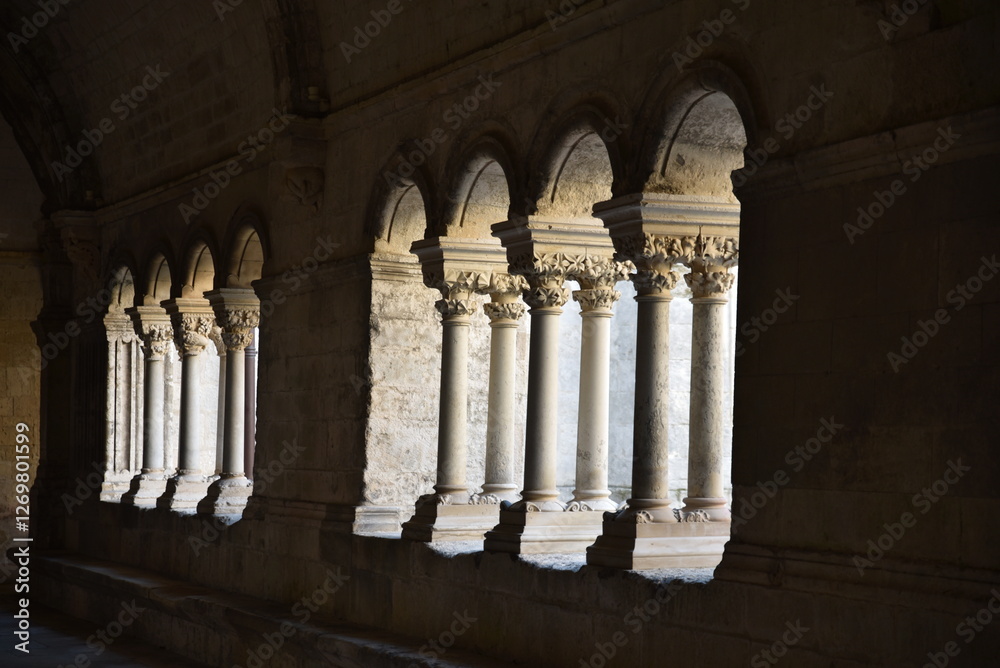 Cloître de l'abbaye de Montmajour. France Cloître de l'abbaye de Montmajour. France