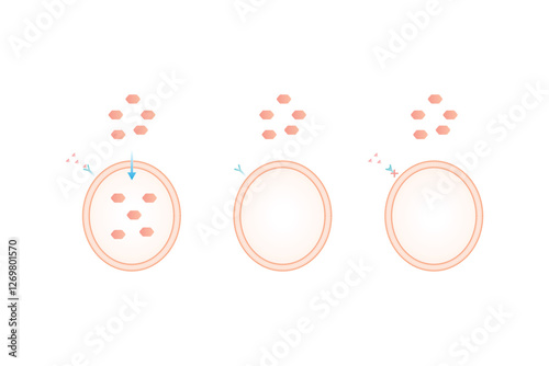 Type 1 and Type 2 Diabetes Science Design. Vector Illustration.