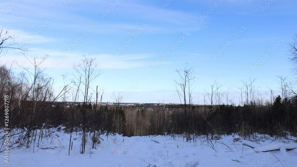 Winter nature during February. Stockholm, Sweden, 2025. Winter nature during February. Stockholm, Sweden, 2025.