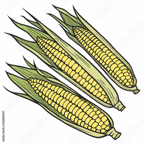 corn on a white background