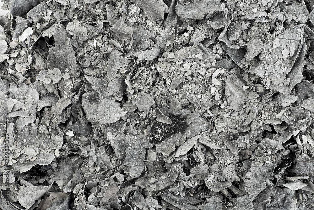 Paper ashes texture, as background. Cinder, view from above. Burnt old paper. Paper ashes texture, as background. Cinder, view from above. Burnt old paper.
