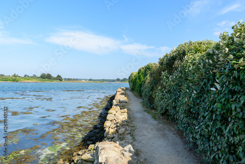 The path on the island of Saint-Cado in Etel in Europe, France, Brittany, Morbihan, Etel, in summer, on a sunny day.
