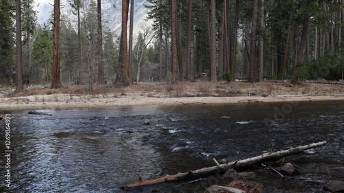 stream flowing in Yosemite national park