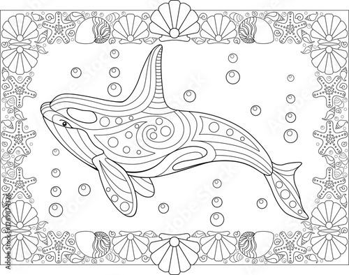 Antistress coloring book with killer whale and shells frame - vector linear picture for coloring. Outline. Coloring page with marine mammal animal orca.	