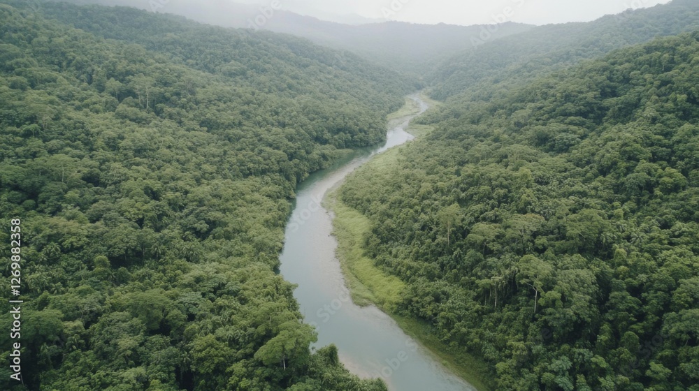 Fototapeta premium Aerial view of a winding river surrounded by lush green forests in a serene landscape