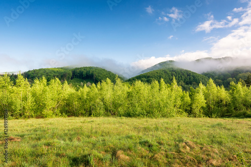 Obraz na płótnie fog in carpathian mountain landscape. beautiful countryside in valley of perechyn district in spring. green hay field and forest on the distant hill in mist. blue sky with clouds on a sunny morning w salonie