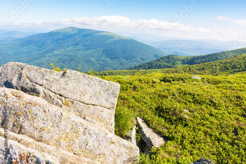 Obraz na płótnie rolling landscape with stones on the grassy slope. sunny morning. beautiful alpine scenery of carpathian mountain smooth in summer. clouds on the bright blue sky. scenic view in to the distant valley w salonie