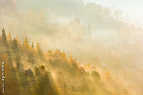 Obraz na płótnie forest in fog on hillside at sunrise. scenic carpathian mountain landscape in morning light. beautiful nature background in autumn weather. natural environment. countryside in fall season w salonie