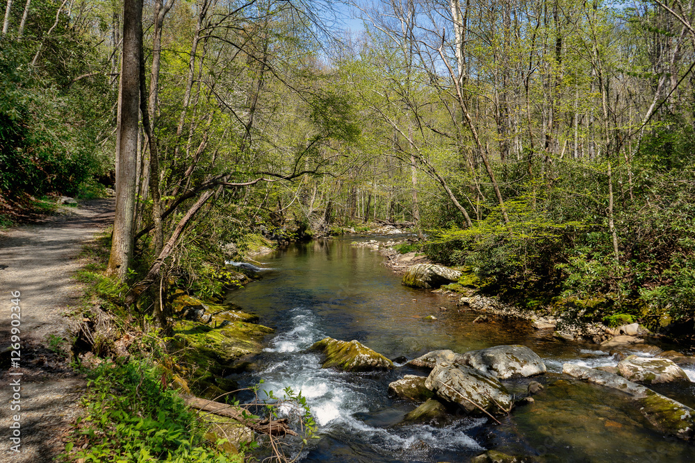 The Little River Trail along the Little River is a popular hike in the Great Smoky Mountains. Combined with the Cucumber Gap Trail, it is a 5.4-mile loop through a mixed forest and riverine habitat. The Little River Trail along the Little River is a popular hike in the Great Smoky Mountains. Combined with the Cucumber Gap Trail, it is a 5.4-mile loop through a mixed forest and riverine habitat.