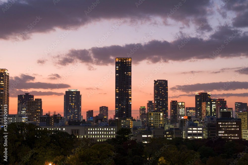 Obraz premium The night city view in Osaka in Asia, Japan, Kansai, Osaka, in summer, on a sunny day.