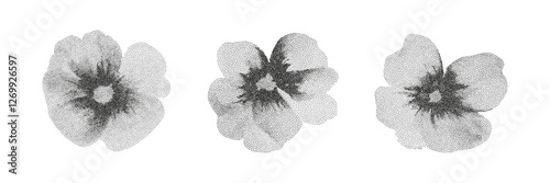 Grunge vintage roses in halftones. Aesthetic graphic tattoo. Gothic punk poster.Trendy elements with retro photocopy effect.