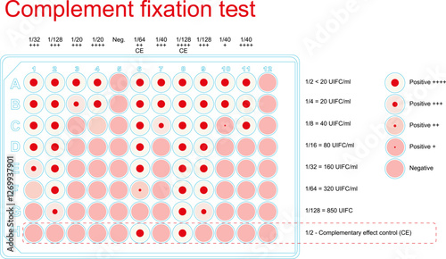 Sample test plate with results of serum complement fixation assay for diagnosis of bovine brucellosis