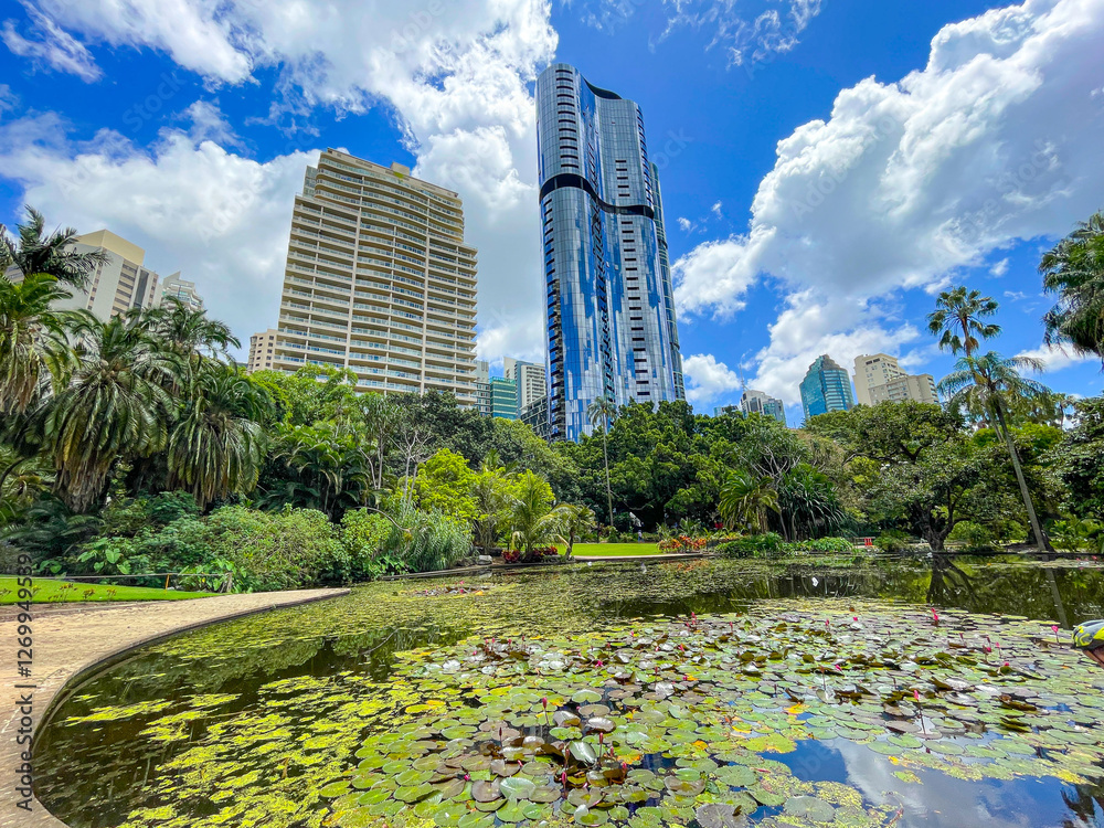 Oakman's Lagoon in Brisbane's Botanic Garden, Australia
