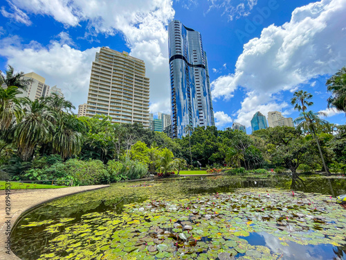 Obraz na płótnie Oakman's Lagoon in Brisbane's Botanic Garden, Australia w salonie