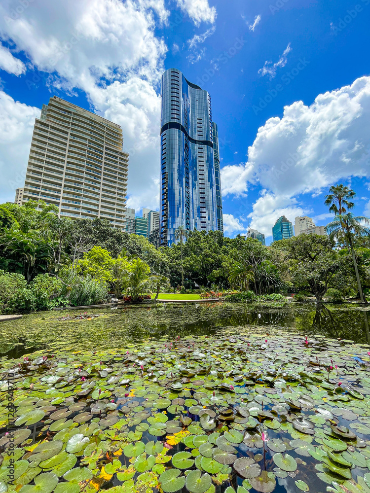 Oakman's Lagoon in Brisbane's Botanic Garden, Australia