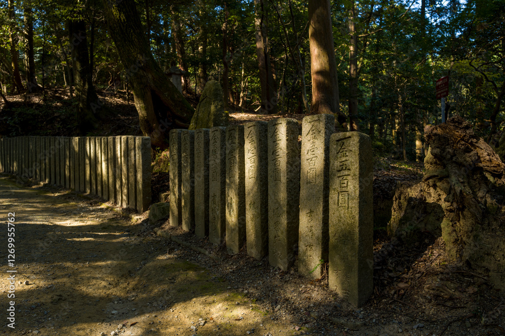 Fototapeta premium The path surrounded by steles around the Engyoji Maniden in Himeji in Asia, Japan, Kansai, Himeji, in summer, on a sunny day.