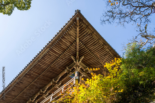 The Engyoji Maniden in Himeji in Asia, Japan, Kansai, Himeji, in summer, on a sunny day. photo