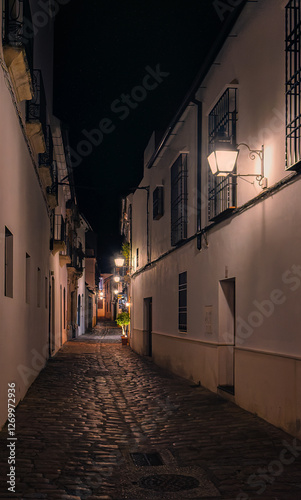 mezquita y patios de córdoba 