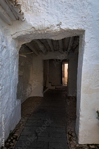 mezquita y patios de córdoba 