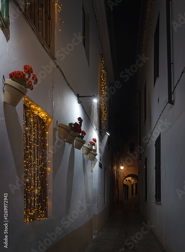 mezquita y patios de córdoba 