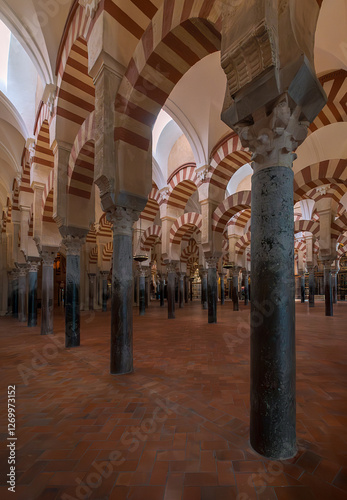 mezquita y patios de córdoba 
