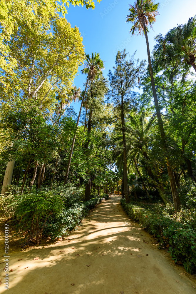 Seville, Spain - August 01, 2024: Parque de María Luisa in Sevilla, Spain