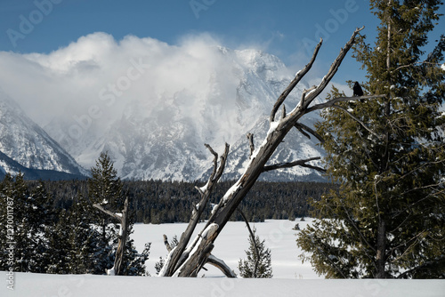 Cloud shrouded Mt Moran; Grand Teton NP; Wyoming  photo