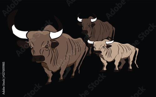 Three angry bulls charging forward on dark green background