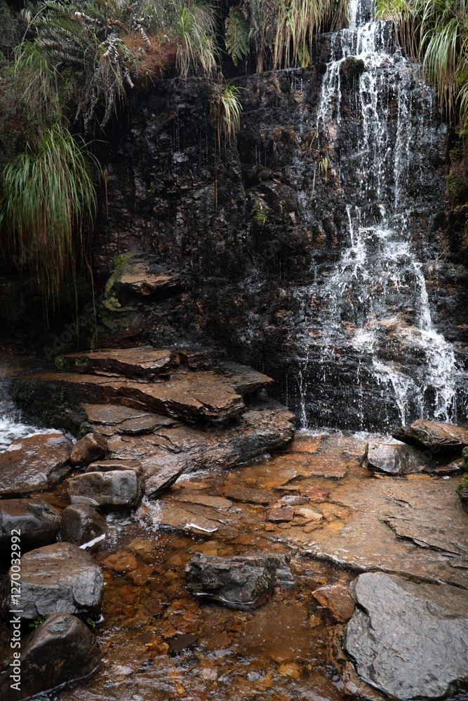 Fototapeta premium Close-up of a cascading waterfall in a high-altitude páramo, surrounded by lush vegetation and moss-covered rocks. The fresh water flows over rugged terrain, highlighting the ecosystem's richness