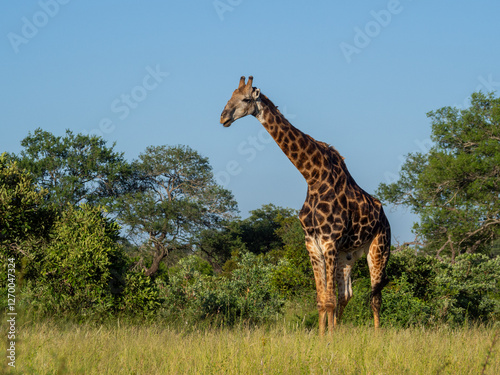 Photography Kruger National Park, South Africa