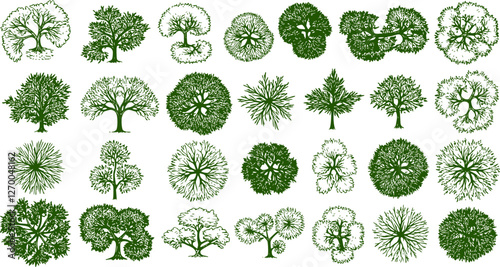 Tree top view outline collection, diverse foliage patterns, ideal for architectural plans, landscape designs, urban planning botanical illustrations, and garden