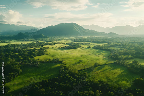 Drone Capturing Expansive Coffee Fields in a Lush, Rolling Landscape
