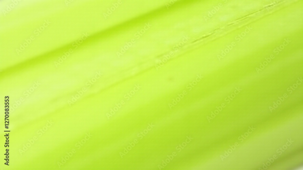 Obraz premium A close-up of celery's fibrous, stringy texture with pale green stalks. Lighting emphasizes its intricate and moist surface.
