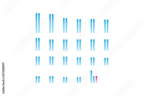 XYY Syndrome Science Design. Vector Illustration.