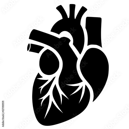 Anatomical Heart Illustration, vector illustration of a human hand holding a heart