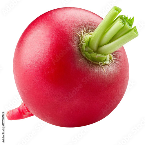 Radish isolated on white background full depth of field