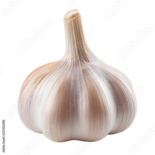 Garlic Bulb isolated on white background full depth of field`