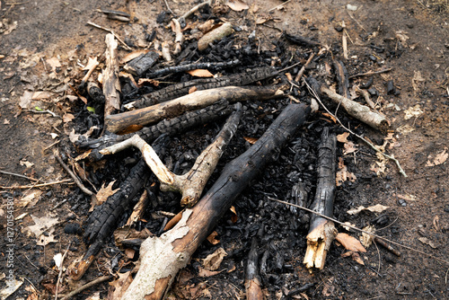 Wallpaper Mural Burned logs and ashes left from a campfire Torontodigital.ca