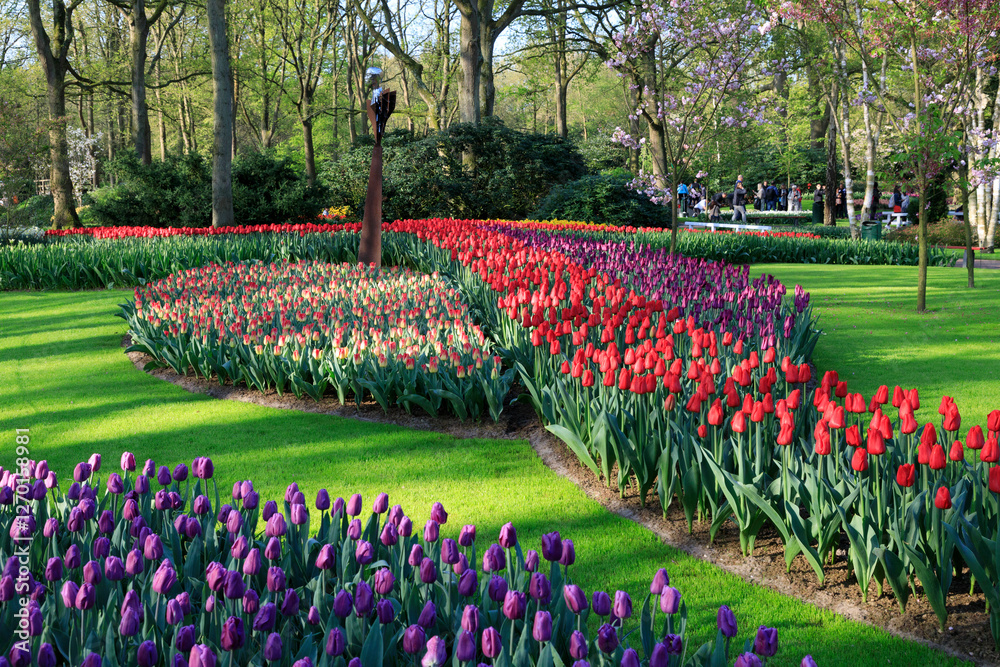 Europe, The Netherlands, Zuid Holland, Lisse.Keukenhof gardens. Tulips.