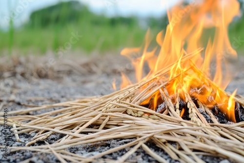 A pile of dry rice straw is burning with bright orange flames, creating smoke and ash in the field.