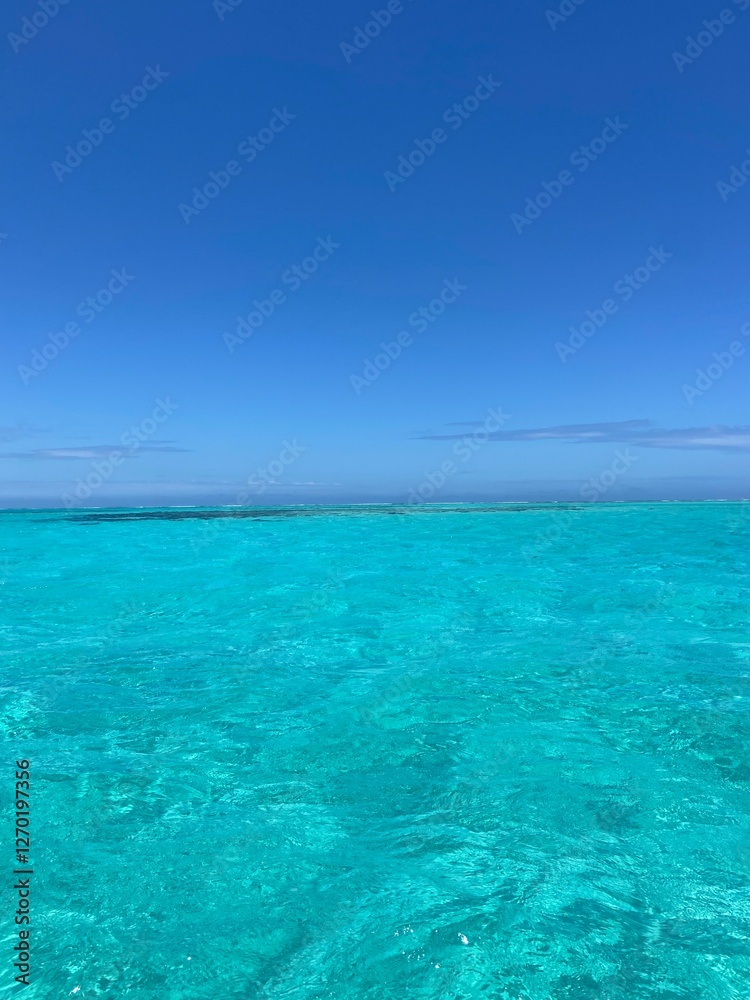 Fototapeta premium clear blue water