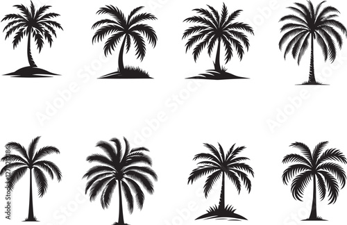 palm trees silhouettes