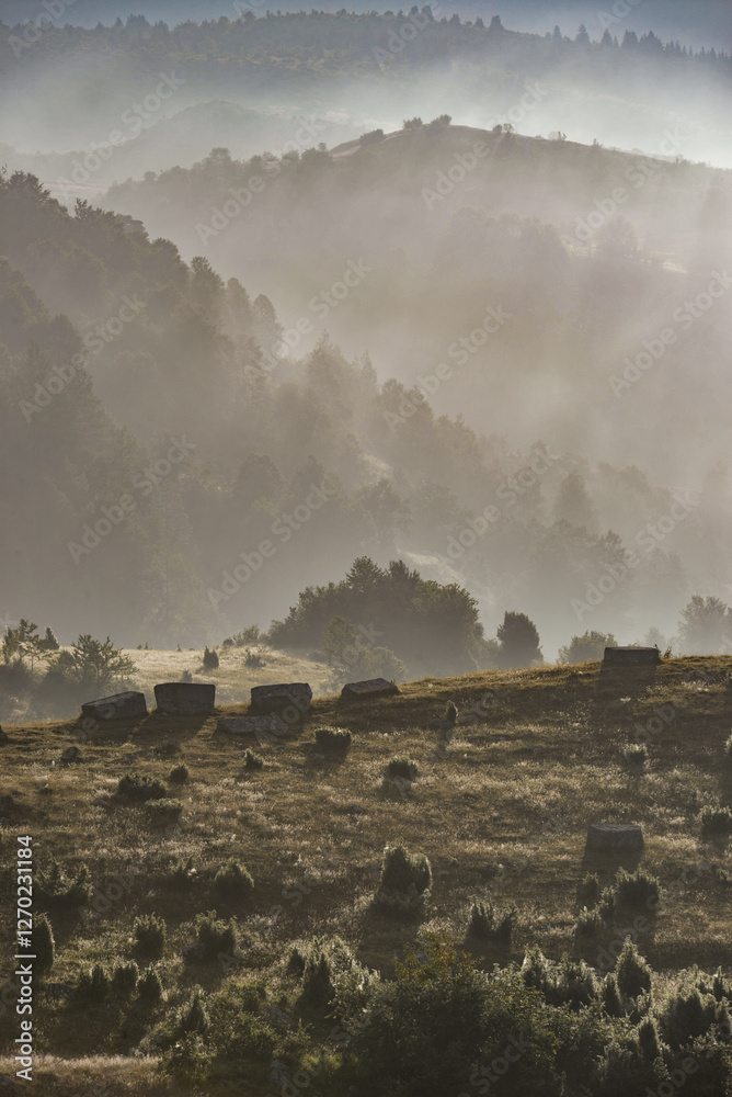 Fototapeta premium Misty mountain landscape: Trees and rocks shrouded in morning fog serene nature scenery