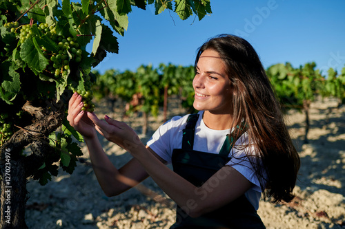 Winegrower woman examining grapes in vineyard during harvest season
