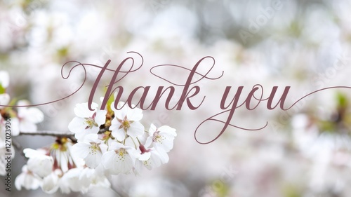 Thank you scripted message over blurred cherry blossoms photo