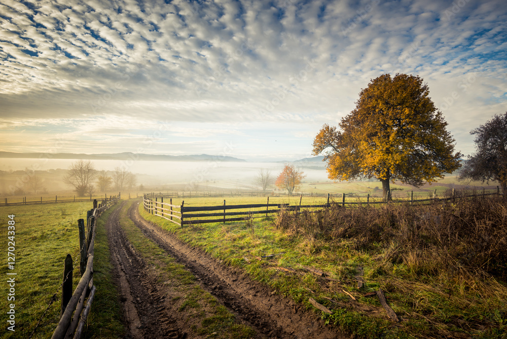 A rural scene with a winding dirt path wooden fence and golden tree under a dramatic cloudy sky A rural scene with a winding dirt path wooden fence and golden tree under a dramatic cloudy sky