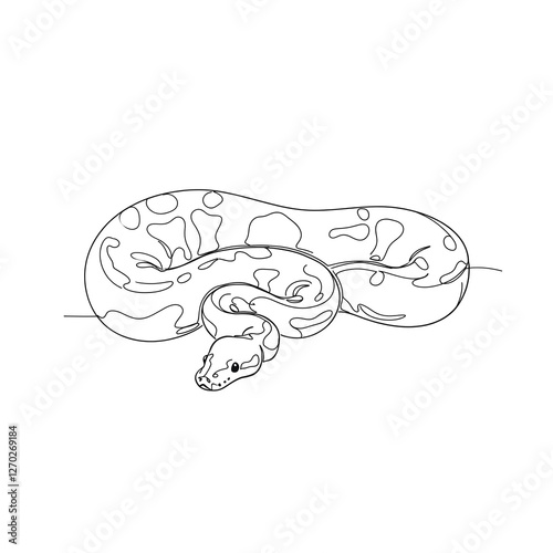 Draw a ball python with black lines. Black and white illustration.