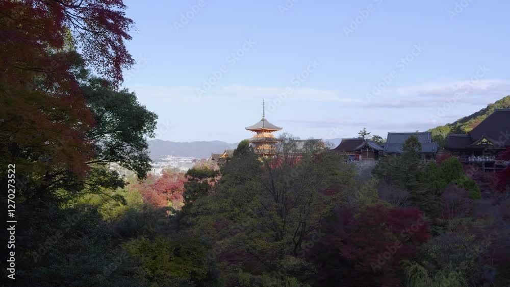 Pan across stunning panorama of Kiyomizudera in fall with foliage Pan across stunning panorama of Kiyomizudera in fall with foliage