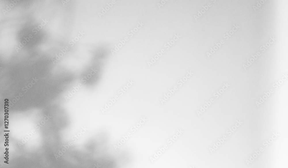Fototapeta premium Gray shadow of the hawthorn tree leaves on a white wall. Abstract neutral nature concept blurred background. Space for text. Overlay effect for photo.